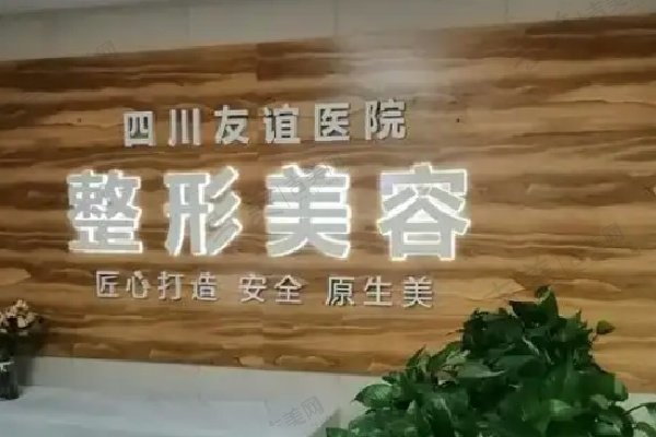 成都友谊医院整形美容科医生简介