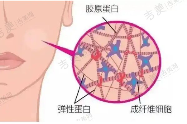 陈万芳自体脂肪填充面部项目收费