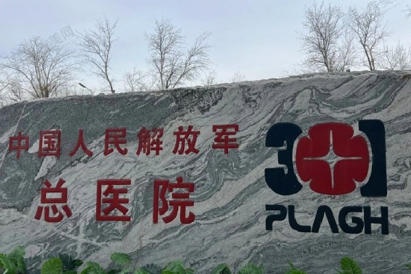 北京301医院整形外科