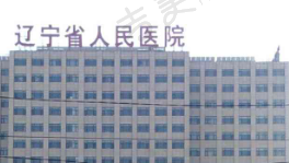 辽宁省人民医院眼科