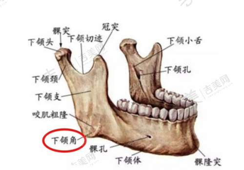 刘全智医生的技术优势亮点