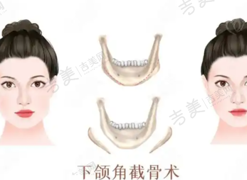 李伟杰医生的执医荣誉
