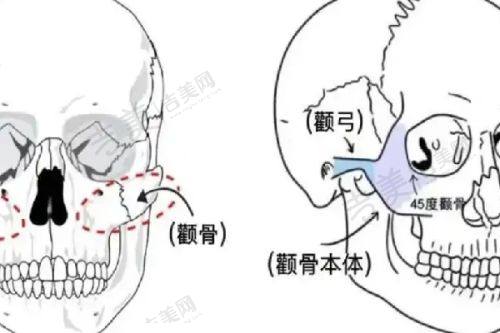 王志军 医生的个人资料简介
