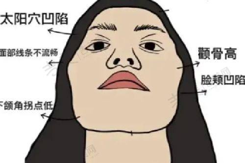 陆凌云医生的执医荣誉情况