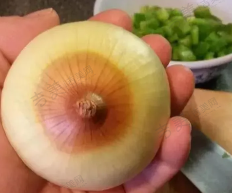 唐红伟医生的执医荣誉情况