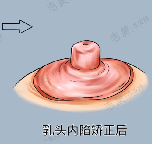 王志军 医生的执医荣誉情况