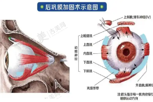 金华维多利亚美容医院地址及乘车路线