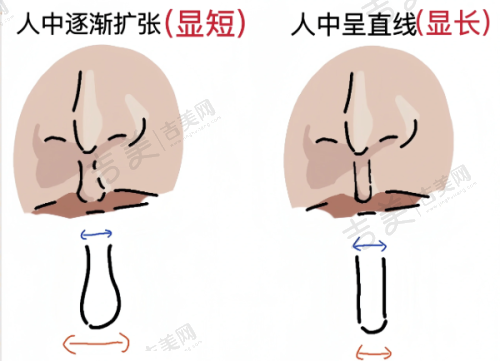荆州华美整形医院价格表
