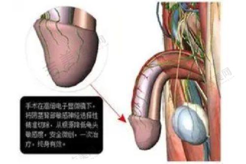 揭阳华美医疗整形美容医院项目特色