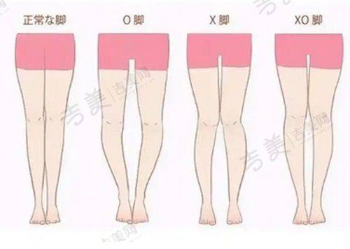 蔚洁医生的执医荣誉展现