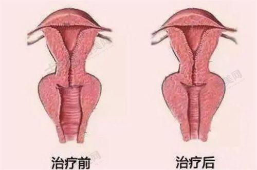 丽水华美整形门诊部价格表