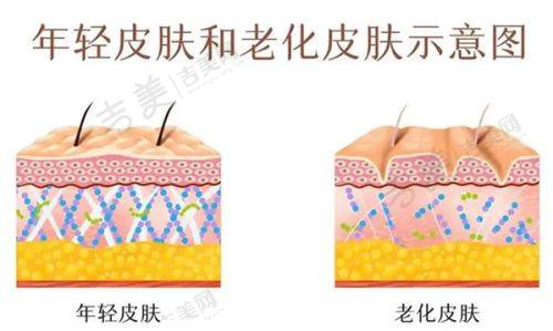 岳阳华美医疗美容门诊部价格表