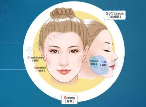 天津华美医疗美容医院口碑好不好?附真实患者口碑评价