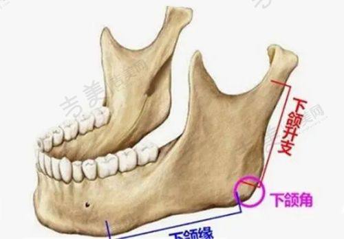 王博医生的技术优势体现