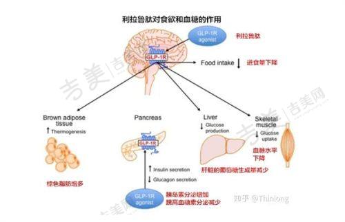 宁德华美整形美容医院地址及乘车路线