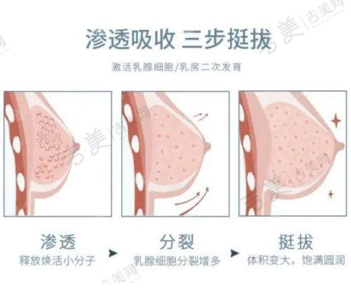 王博医生擅长的医美项目