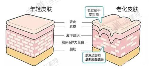 无锡华美整形美容医院地址及乘车路线