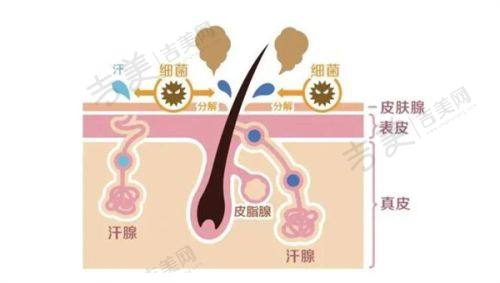 邵阳华美医疗美容医院医生简介