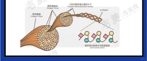 邵阳华美医疗美容医院基本信息