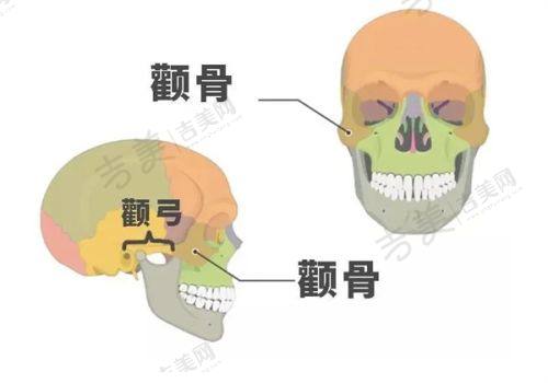 福州美莱华美美容医院医生简介