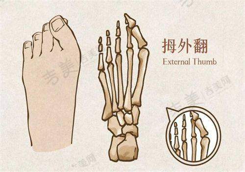韩德医生的执医荣誉情况