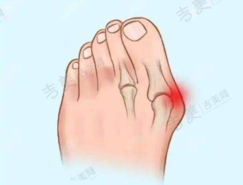 杨力医生坐诊医院详情