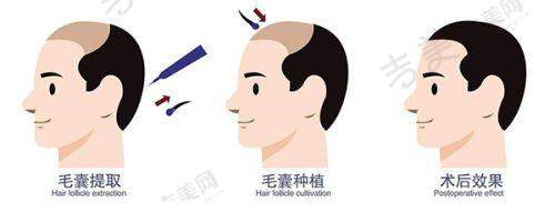 杨和强医生的顾客好评分享