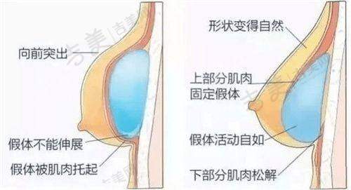 邱春妹医生的执医荣誉