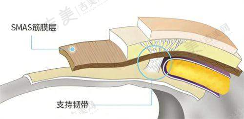 陈建忠医生的口碑评价及实例展示