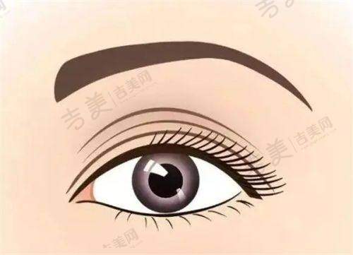 毛林医生的执医荣誉信息