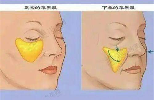 余洪斌医生的执医荣誉情况
