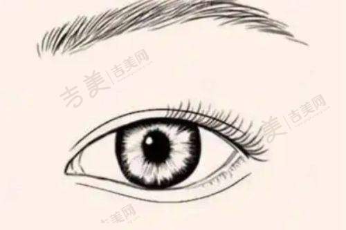 吉美网
