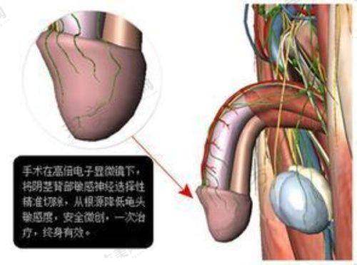 甘柳明医生的执医荣誉情况