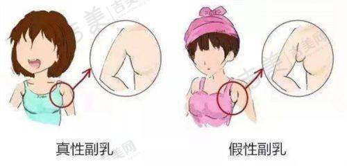 吉美网