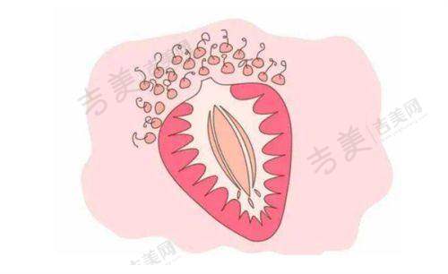 徐杰明医生的执医荣誉情况