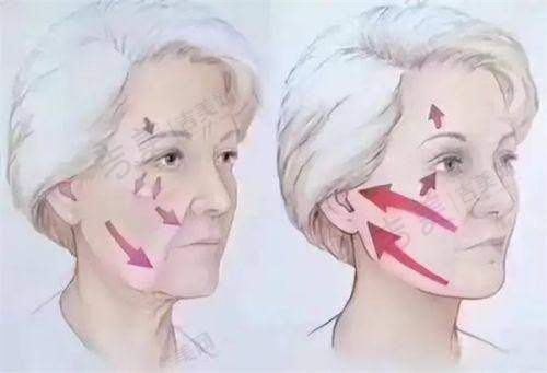 吉美网