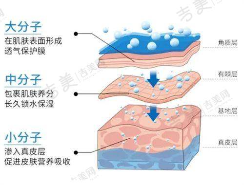 孝感华美医疗美容背部吸脂48000元起医生团队实力