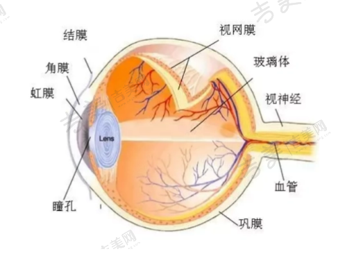 其他眼病价格及优势