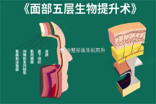 李启寿医生的坐诊医院详情