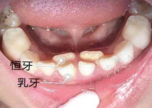张文洪医生的个人资料简介