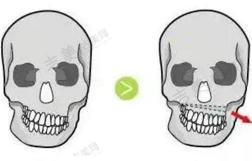 郑志文医生的执医荣誉体现