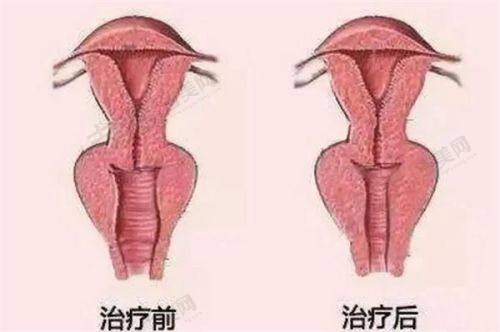 彭卫东医生的坐诊医院详情