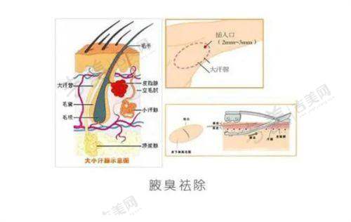 李启寿医生的个人资料简介