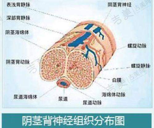 三、西安排名前十的美容整形医院详情大起底——西安米兰柏羽医疗美容医院
