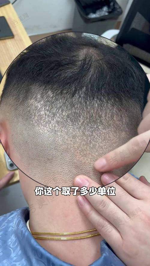 八、总结与建议