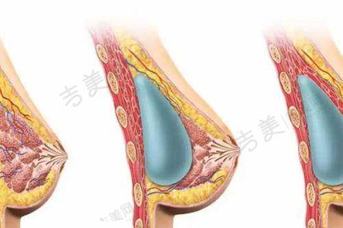 金磊医生的执医荣誉与专精头衔