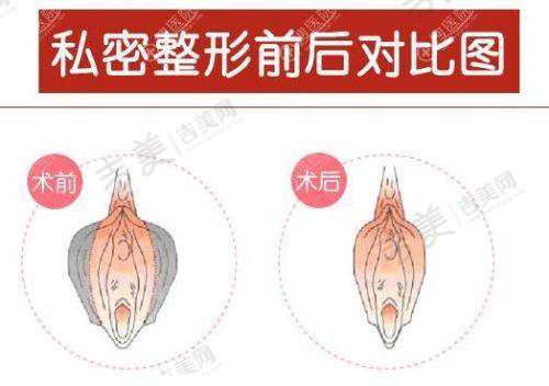 于赫楠医生的执医荣誉成就