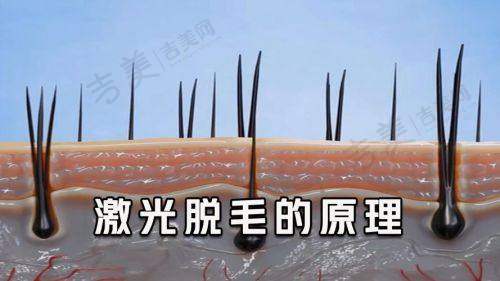 济南悦菩丽格医疗美容门诊部医生简介