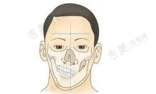 李菁医生的执医荣誉成果