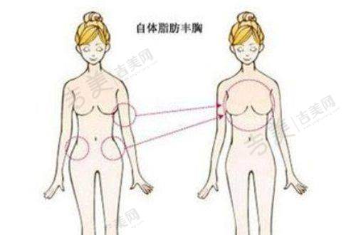 李莎医生的坐诊医院详情